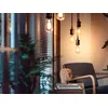 Smart bulb Philips 1-pack ST72 E27 Filament Edison Photo 6