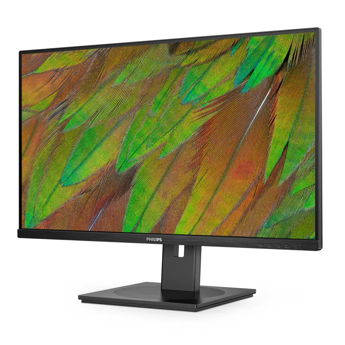 Philips 3000 Series 32B1U3900/00 Monitor Photo 17