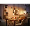 Smart bulb Philips 1-pack G125 E27 Filament Globe Photo 5