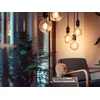 Smart bulb Philips 1-pack G125 E27 Filament Globe Photo 6