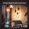 Smart bulb Philips 1-pack G125 E27 Filament Globe Photo 8