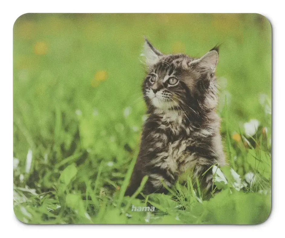 Mouse Pad Hama Animal Multicolour Photo 3
