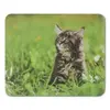 Mouse Pad Hama Animal Multicolour Photo 3