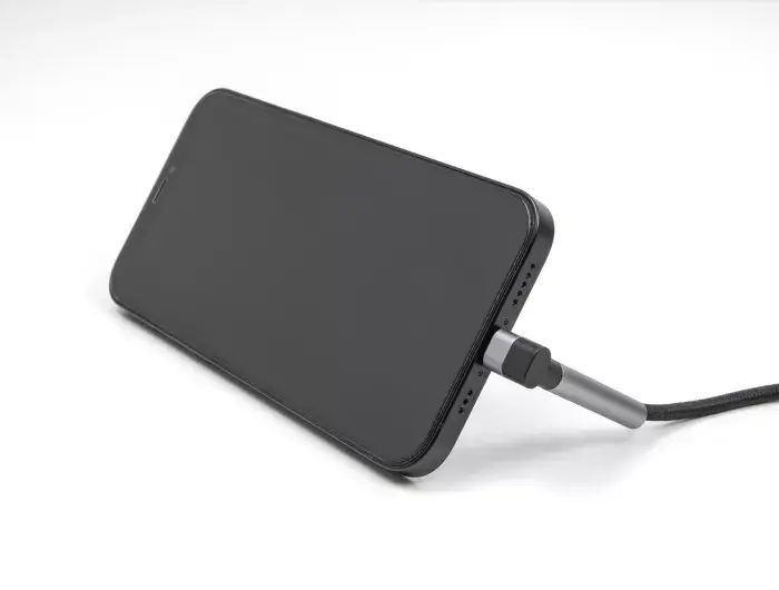 Data and Charging Cable DeLOCK USB Type-A to Lightning Photo 2