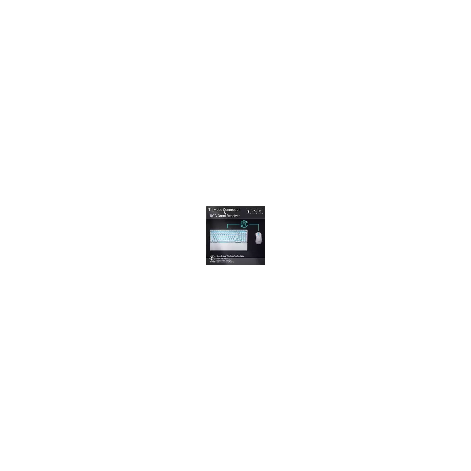 Asus 90MP03S0-BKUA30 4711387517840 Photo 5