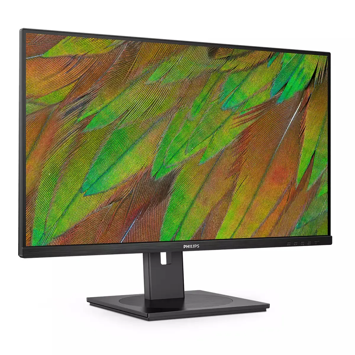 Philips 3000 series 32B1N3800/00 computer monitor 32B1N3800/00 Photo 7