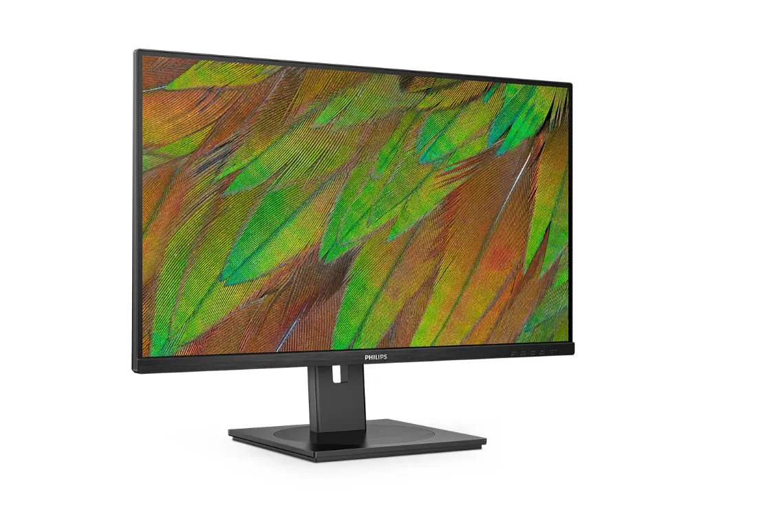Philips 3000 Series 32B1N3800/00 Monitors Photo 16