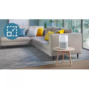 Compact size and sleek design