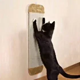 Cat scratching board Trixie 4342 Photo 3
