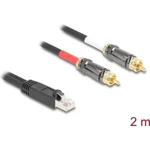 DeLOCK audio cable 2 m RJ-45 2 x RCA Black 88171