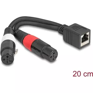 DeLOCK 88178 audio cable 0.2 m RJ-45 2 x XLR (3-pin) Black