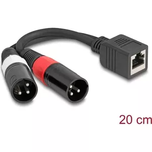 Кабель аудио DeLOCK 0.2 м RJ-45 2 x XLR (3-pin) черный 88179