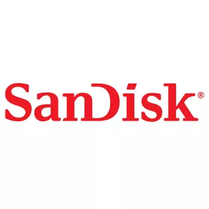 USB flash drive SanDisk 1TB USB Type-C Ultra Luxe SDCZ75-1T00-G46