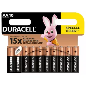Alkaline AA batteries Duracell MN1500/250-08444 Basic — 10 pcs