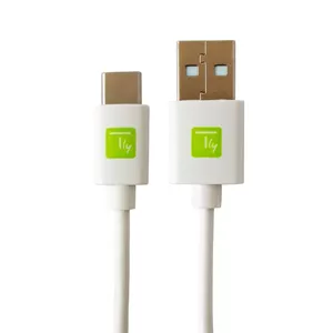 USB cable Techly ICOC MUSB20-CMAM20TW 2 m USB A USB C White
