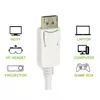 Techly IADAP DP-HDMIFP video cable adapter Photo 3