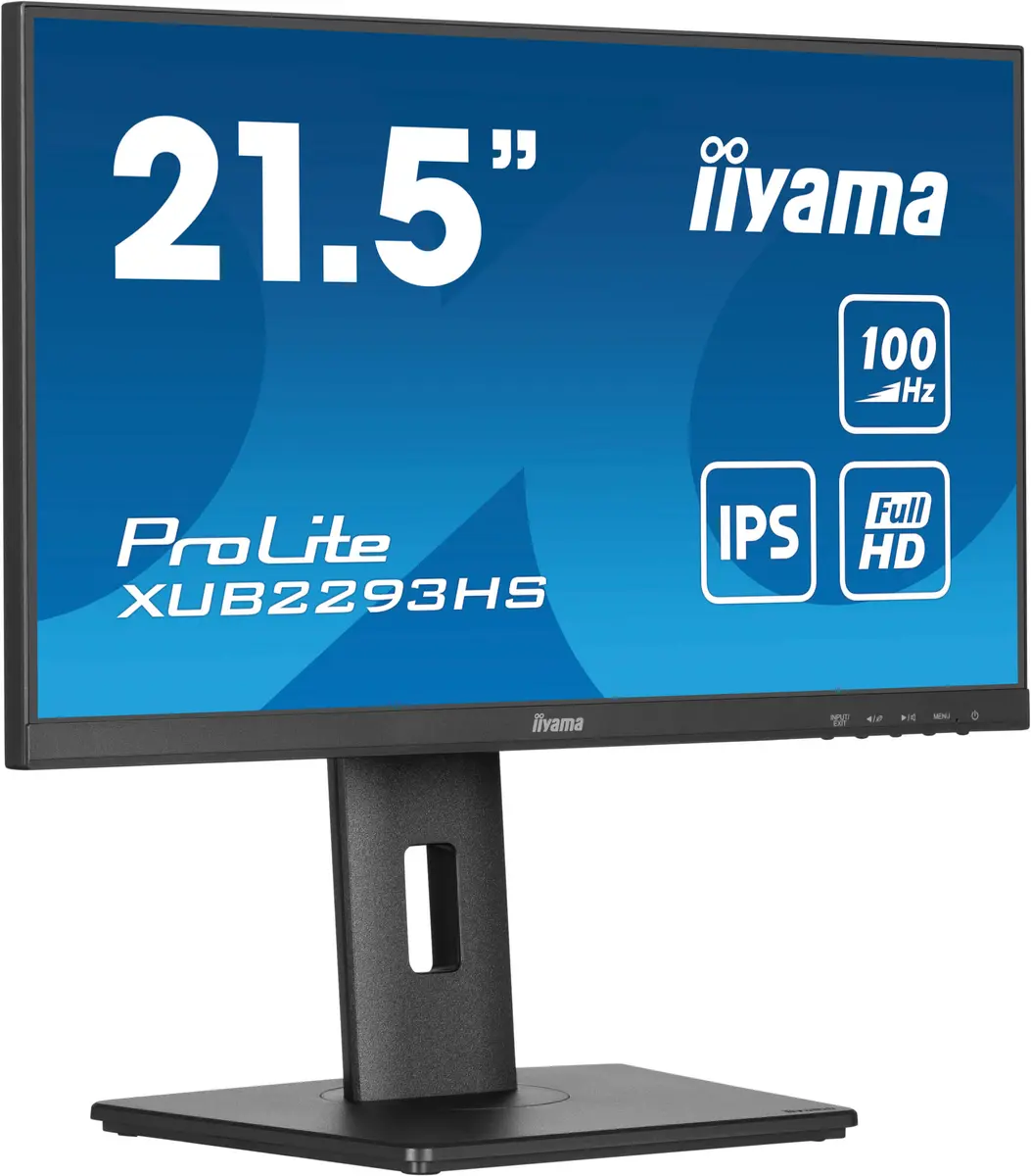 Acer ProLite XUB2293HS-B6 Datora monitors 21