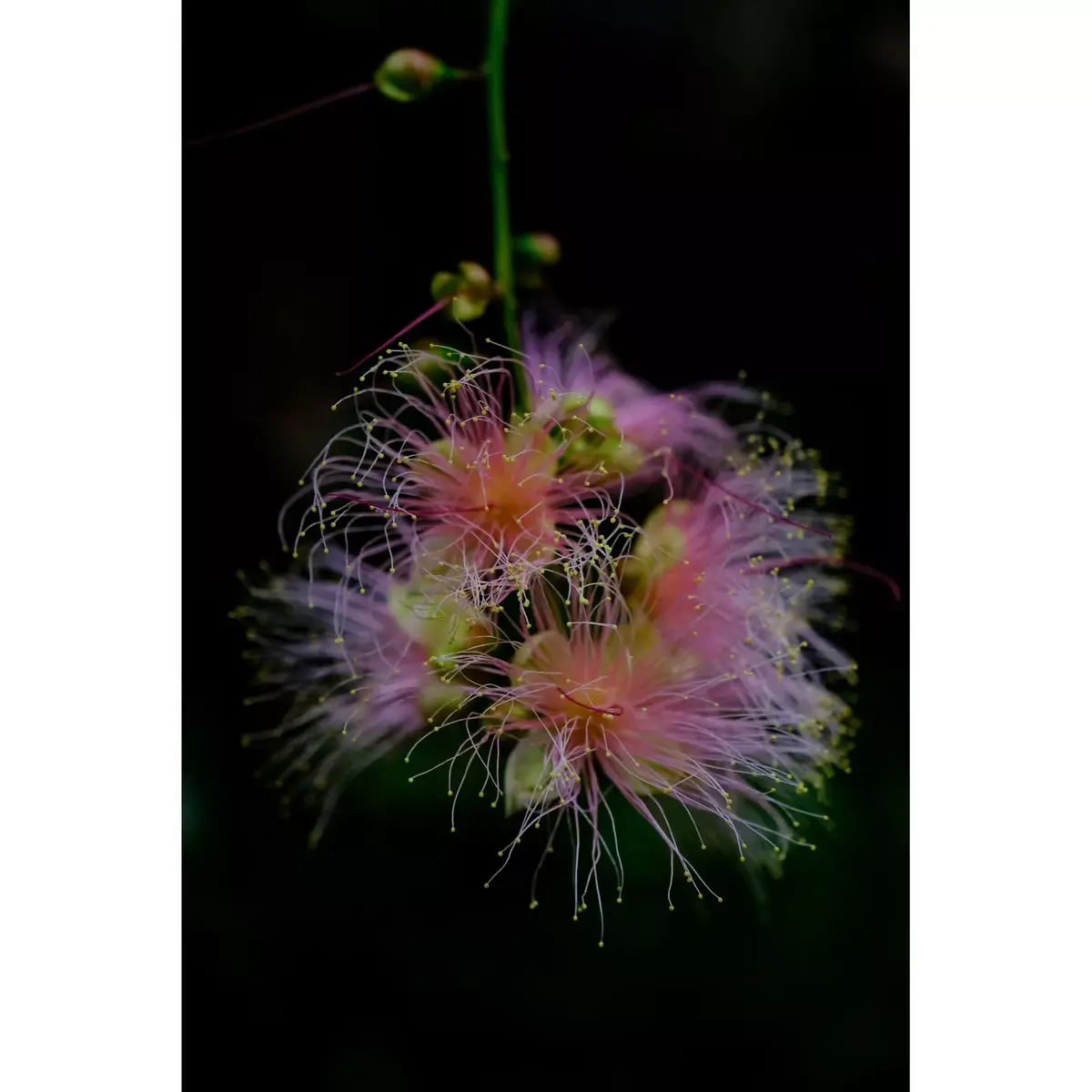 Объектив Fujifilm XF16-55mm F2.8 R LM WR II Photo 10