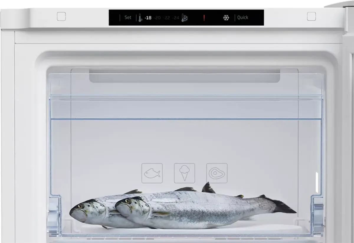 Морозильник Beko RFNM200T40WN Photo 4