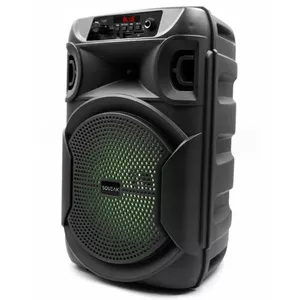 Portable Speaker SQUEAK KARAOKE SPEAKER PULSETOWER BT 5.3 + EDR SQ1006, Black