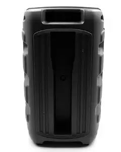Portatīvais skaļrunis SQUEAK KARAOKE SPEAKER PULSETOWER BT 5.3 + EDR SQ1006, Melns