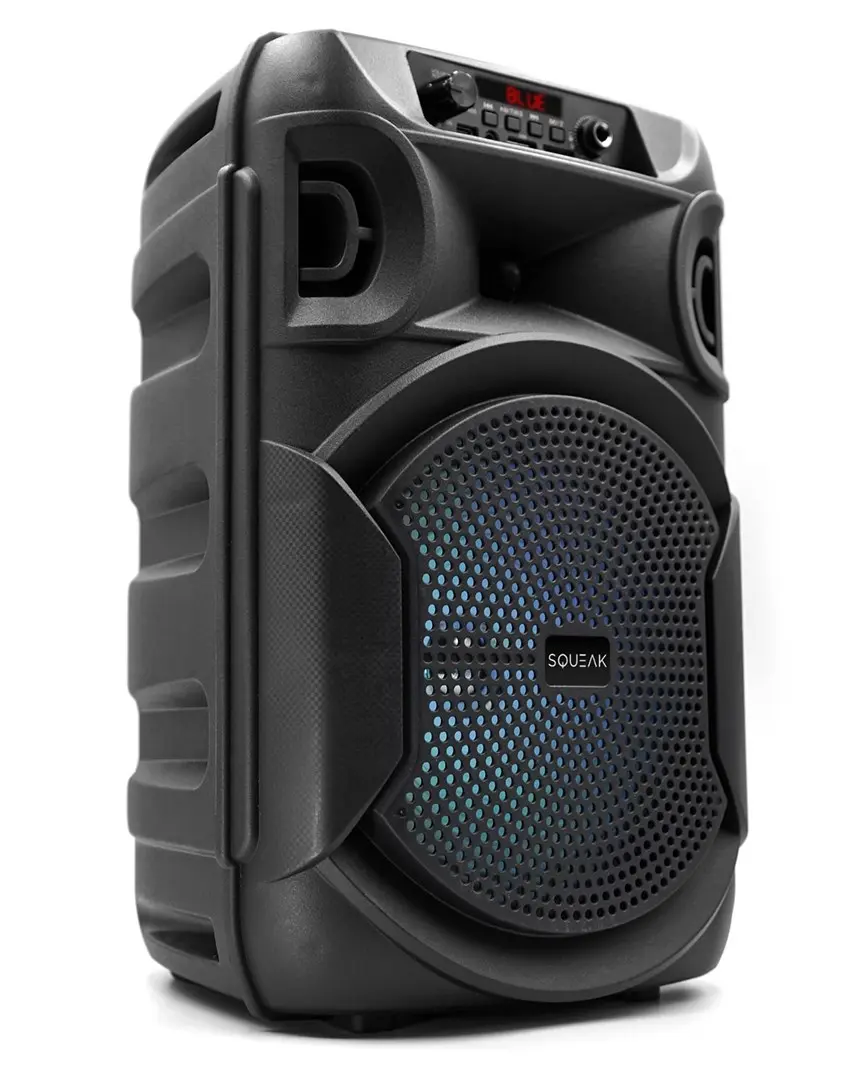 Portable Speaker SQUEAK SQ1006 Photo 8