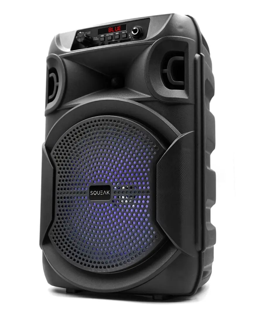 Portable Speaker SQUEAK SQ1006 Photo 10