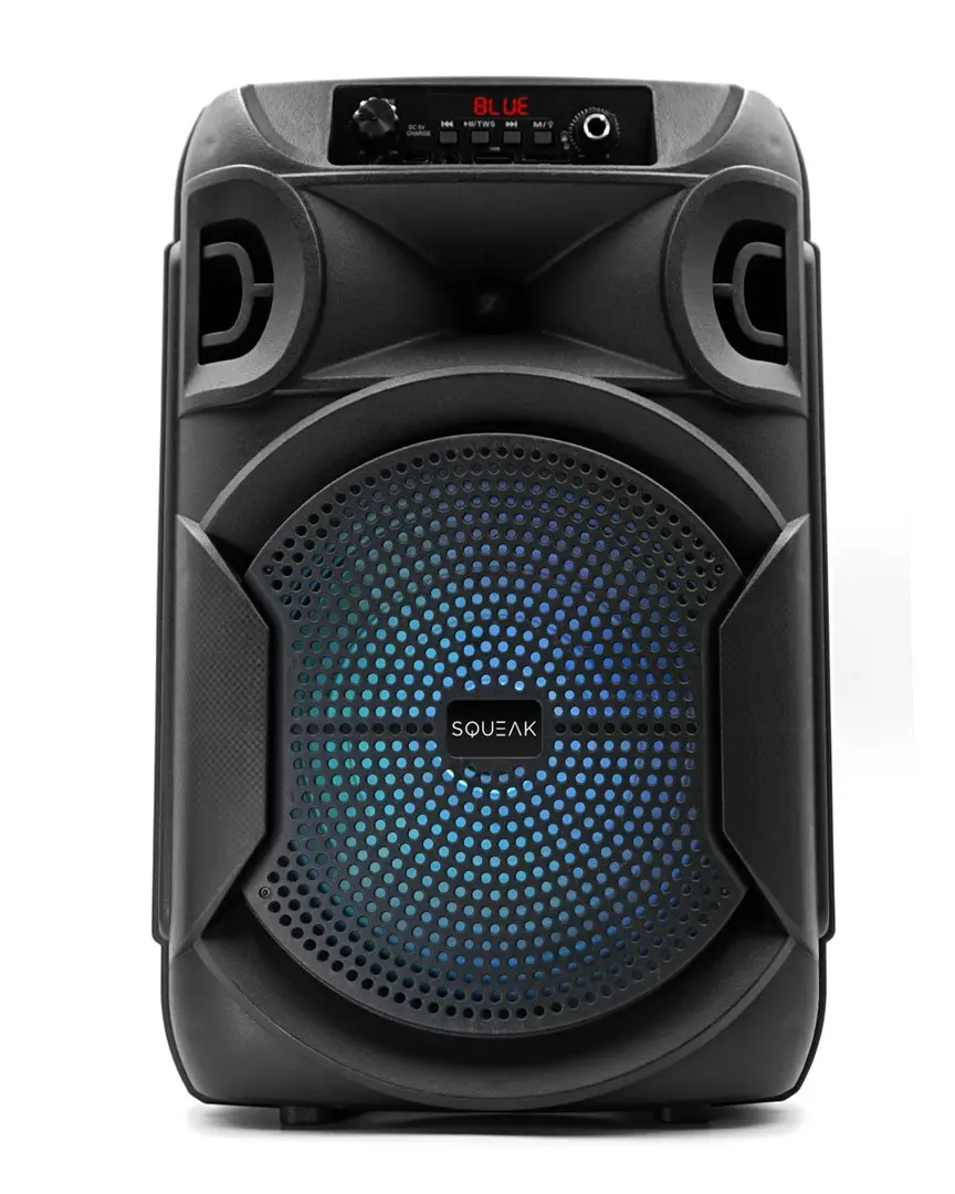 Portable Speaker SQUEAK SQ1006 Photo 12