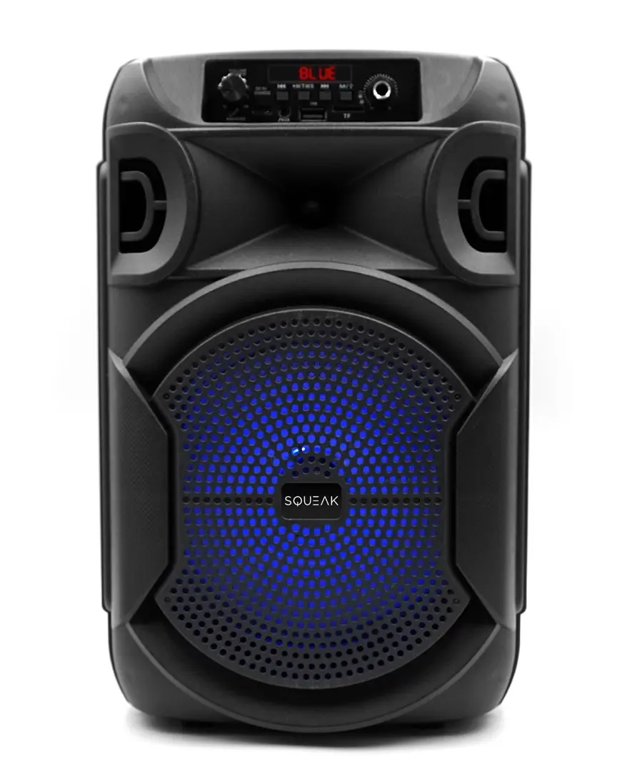 Portable Speaker SQUEAK SQ1006 Photo 14
