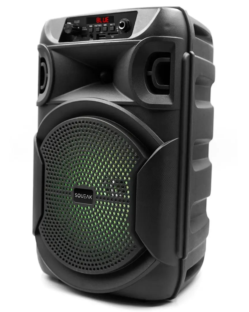 Portable Speaker SQUEAK SQ1006 Photo 16