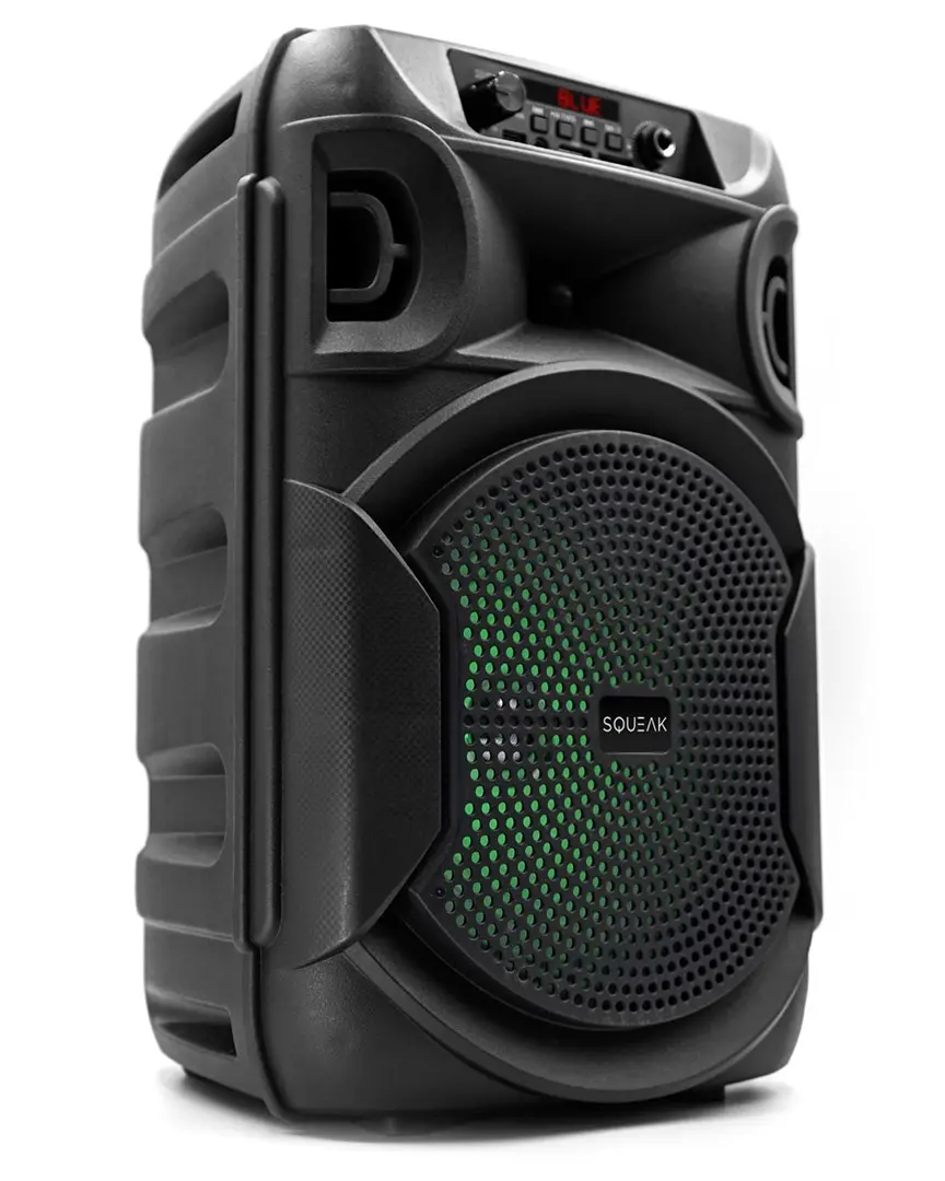Portable Speaker SQUEAK SQ1006 Photo 18