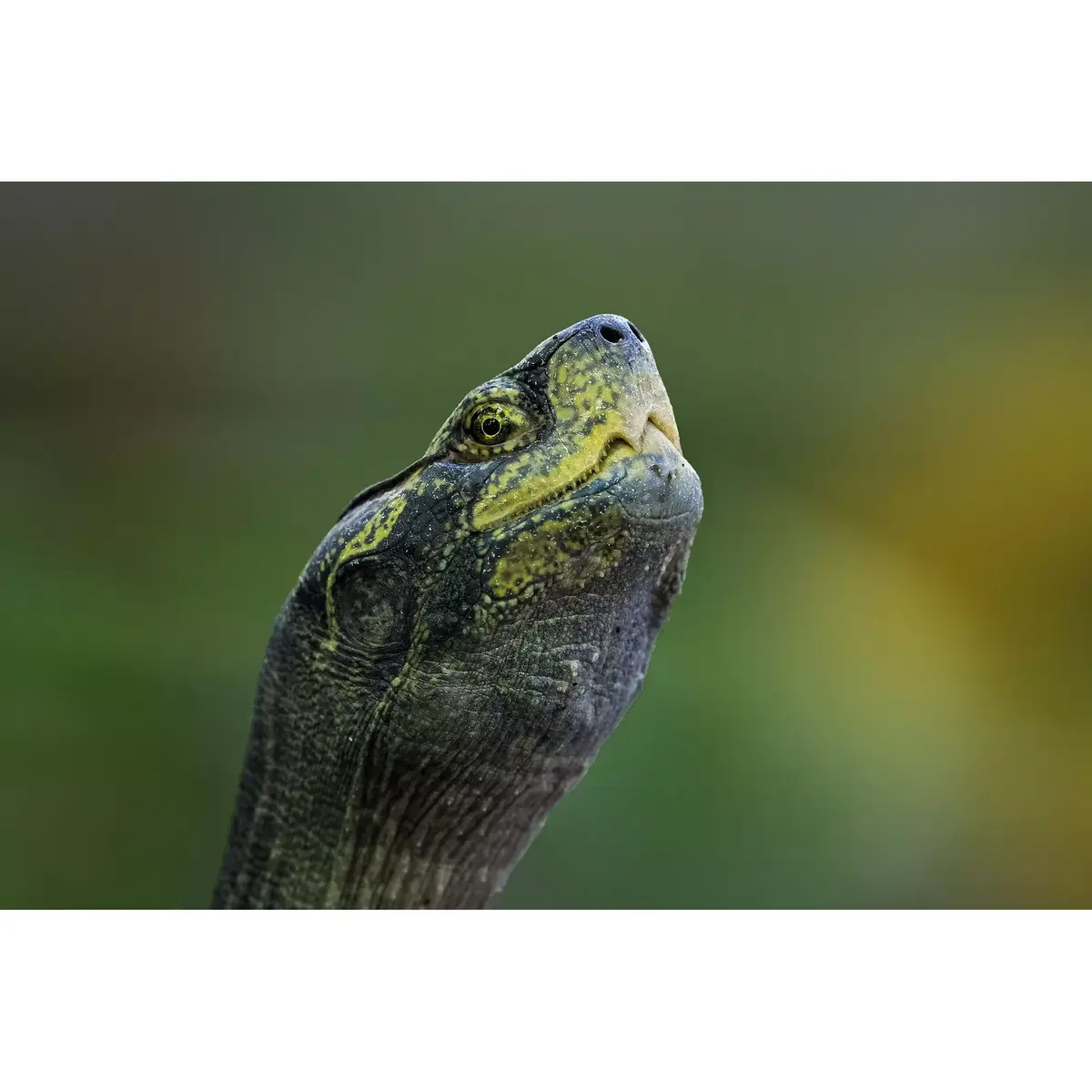 Телеобъектив Fujifilm XF500mmF5.6 R LM OIS WR Photo 15
