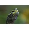 Телеобъектив Fujifilm XF500mmF5.6 R LM OIS WR Photo 15