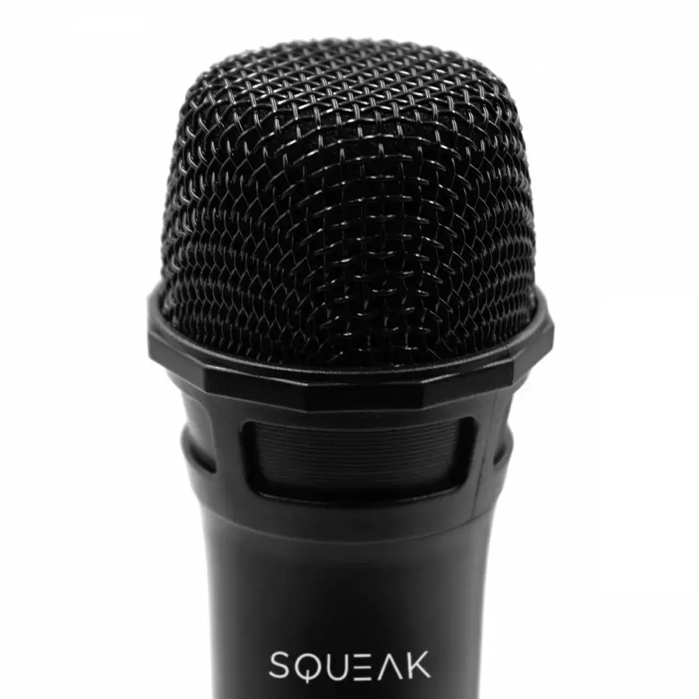 Набор караоке-микрофонов SQUEAK SQ1007 Photo 2