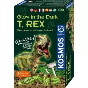 Набор для раскопок Piatnik Kosmos Glow in the Dark T-Rex, археология, от 7 лет, разноцветный