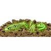 Izrakumu komplekts Piatnik Kosmos Glow in the Dark T-Rex Photo 2