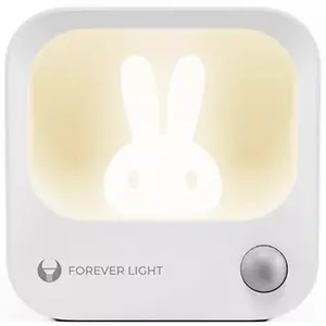 Table LED Night Lamp Forever Light FLC-10, rechargeable 500 mAh battery, compact bedside light