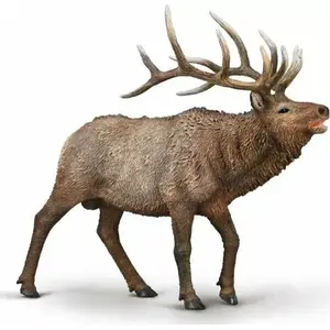Collecta figurine Collecta Canadian Deer — animal model, realistic plastic toy, approx. life-like size
