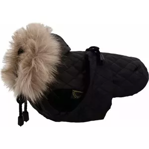  Grande Finale BLACK PICUED DERK izmērs 6 36cm
