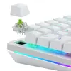 GLORIOUS Raptor Lubed Clicky — 36 переключателей Photo 2