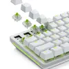 GLORIOUS Raptor Lubed Clicky — 36 переключателей Photo 6