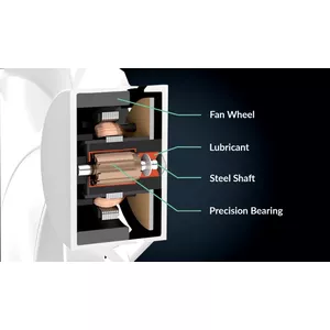 Virtually Silent due Fluid Dynamic Bearing