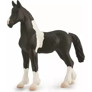Collecta figurine foal Barcock Pinto model 88893, realistic plastic collectible