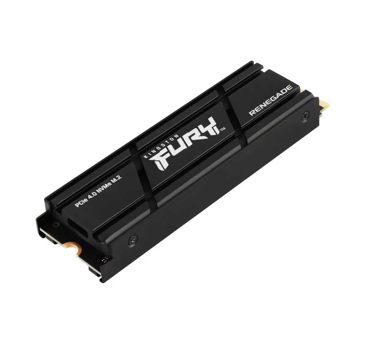 Kingston Technology 4000G RENEGADE PCIe 4.0 NVMe SSD Photo 3