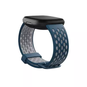 Браслет Fitbit FB174SBNVGYL Синий Серый