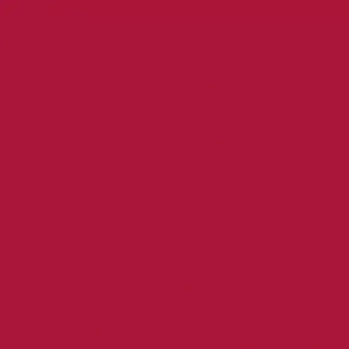 Lūpu krāsa Naj-Oleari Creamy Delight 17 Lacquer Red Photo 5