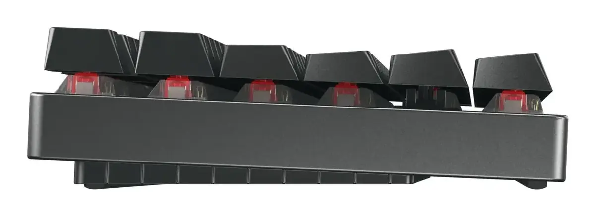CHERRY XTRFY Cherry MX 8.2 TKL Wireless Keyboard Photo 2