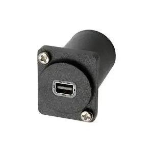 Adapteris Exsys D-Type Mini DisplayPort ligzda — DisplayPort ligzda EX-49169