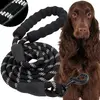 Dog training leash Springos PA0332 — 5 m, up to 50 kg Photo 2