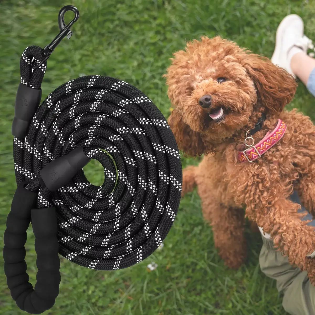 Dog training leash Springos PA0332 — 5 m, up to 50 kg Photo 6